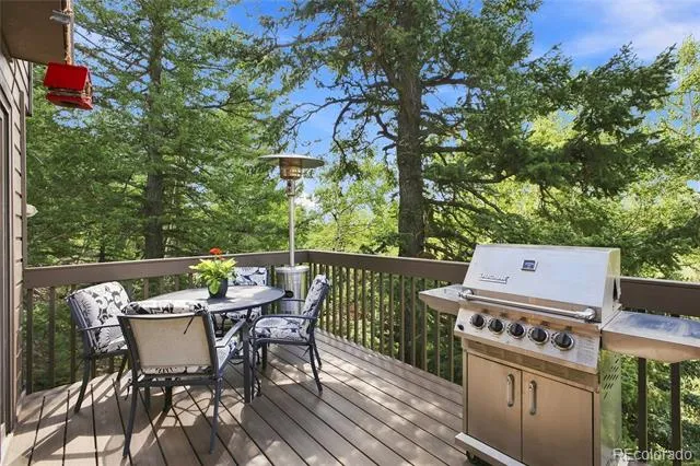160 Meadowlark Drive Evergreen, CO 80439