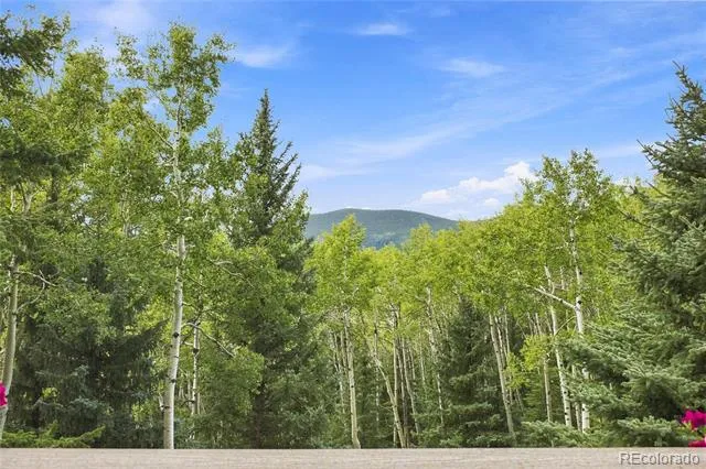 160 Meadowlark Drive Evergreen, CO 80439