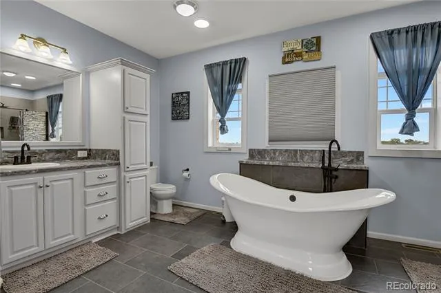 4605 Windmill Flats Court Peyton, CO 80831