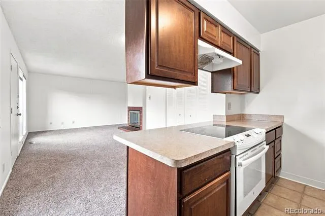 1225 S Oneida Street #217 Denver, CO 80224