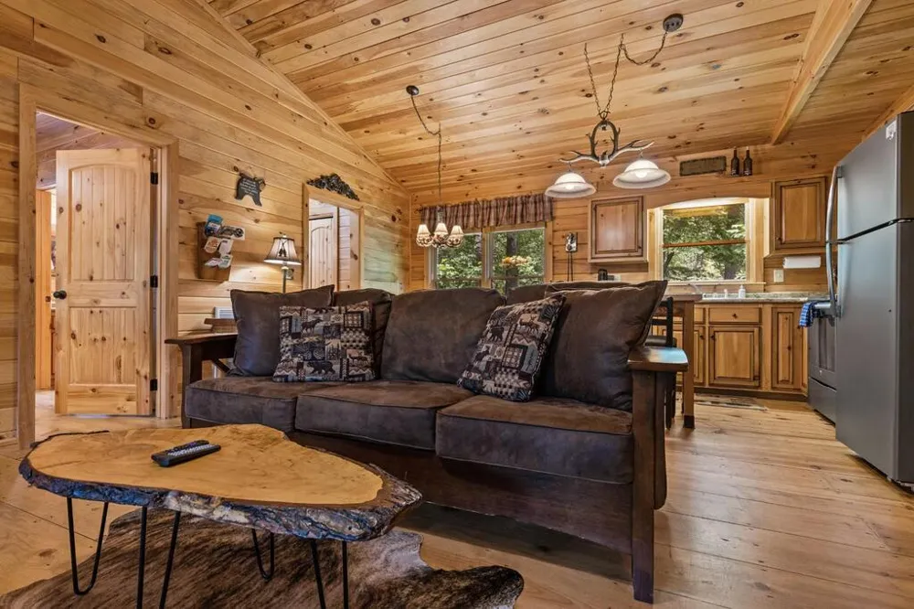 43 Jason Martin Circle Cherry Log, GA 30522