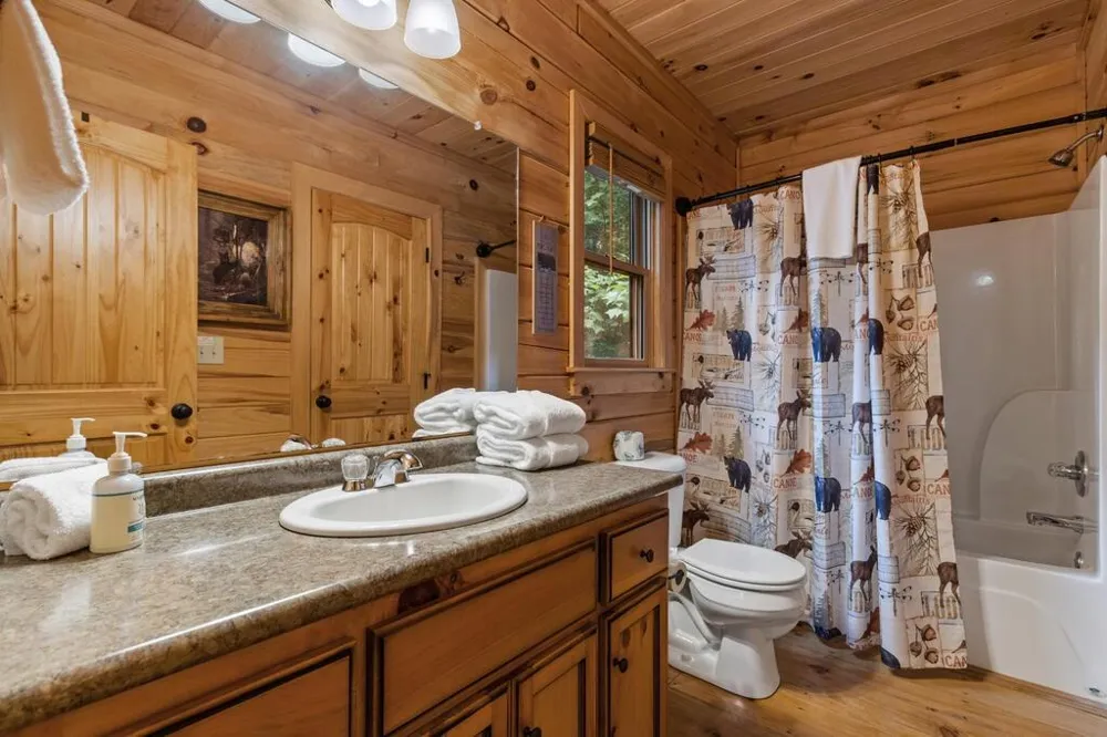 43 Jason Martin Circle Cherry Log, GA 30522