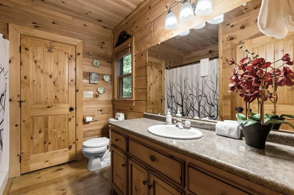 43 Jason Martin Circle Cherry Log, GA 30522