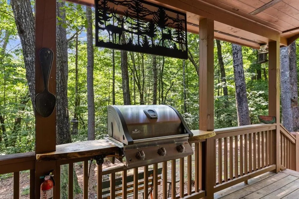 43 Jason Martin Circle Cherry Log, GA 30522