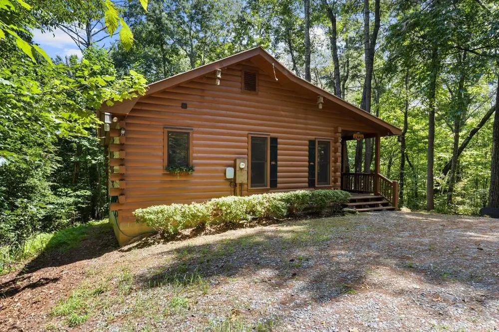 43 Jason Martin Circle Cherry Log, GA 30522