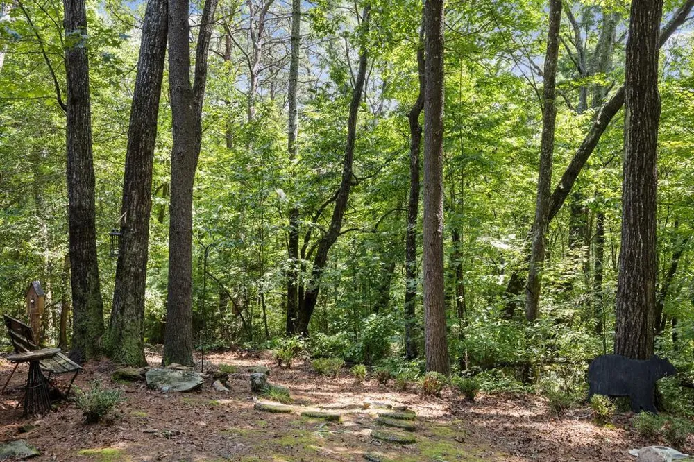 43 Jason Martin Circle Cherry Log, GA 30522