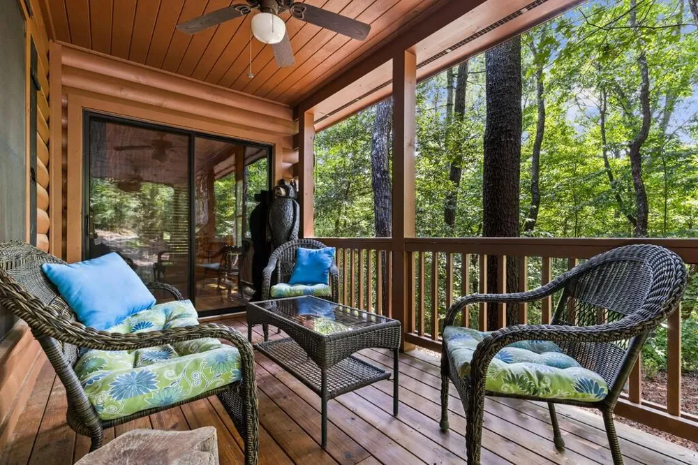43 Jason Martin Circle Cherry Log, GA 30522