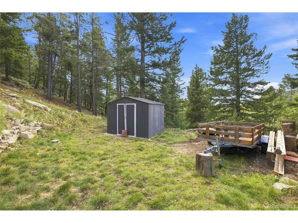 160 Meadowlark Drive Evergreen, CO 80439
