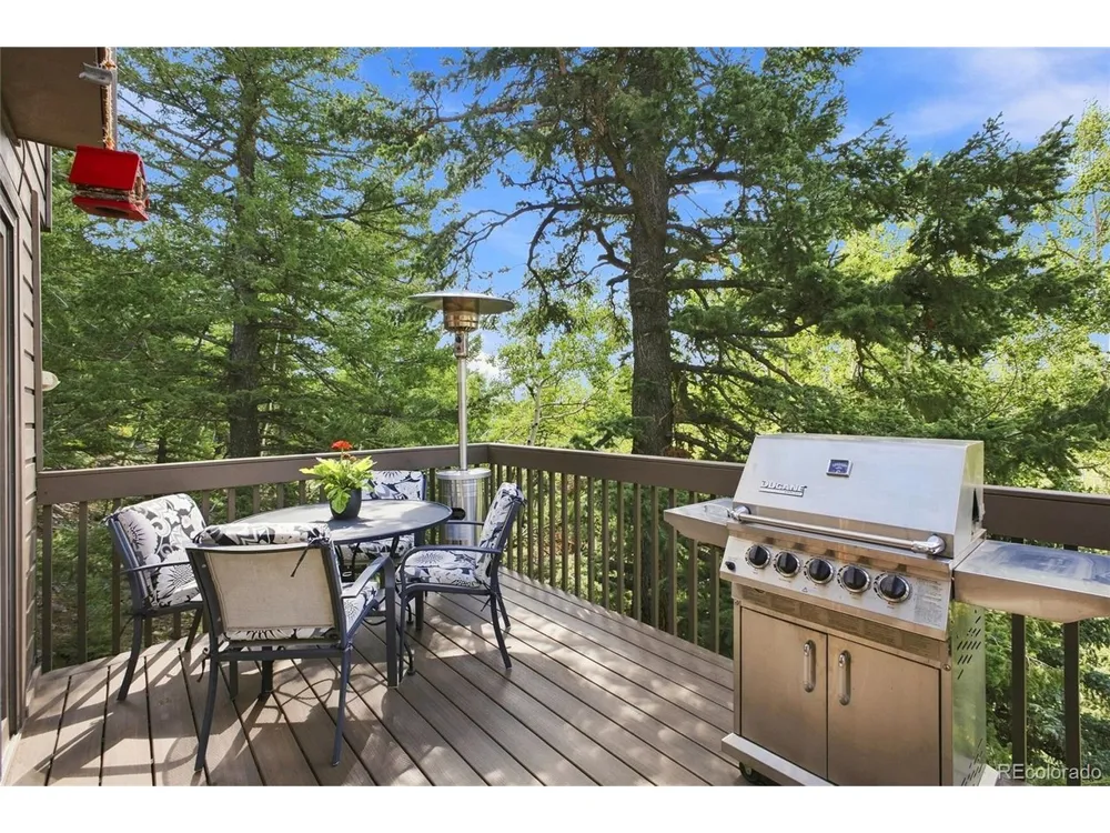 160 Meadowlark Drive Evergreen, CO 80439