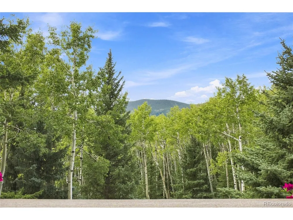 160 Meadowlark Drive Evergreen, CO 80439