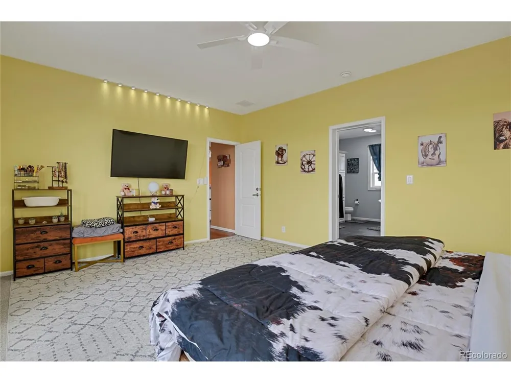 4605 Windmill Flats Court Peyton, CO 80831
