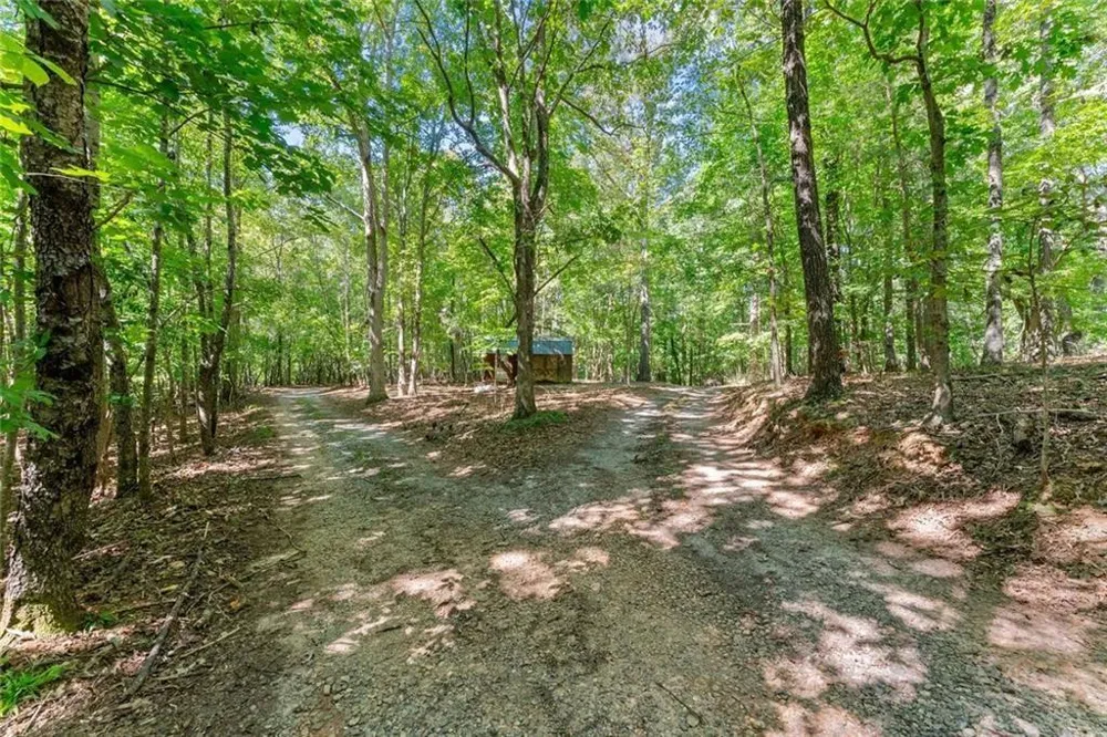 901 Peachtree Cove Demorest, GA 30535