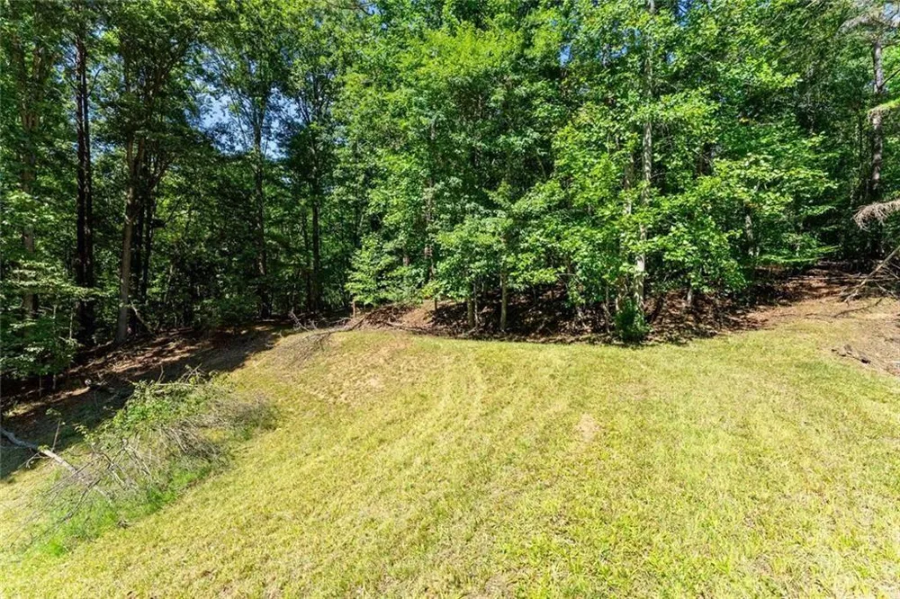 901 Peachtree Cove Demorest, GA 30535