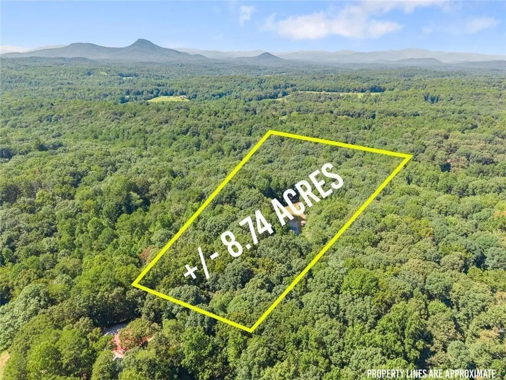 901 Peachtree Cove Demorest, GA 30535