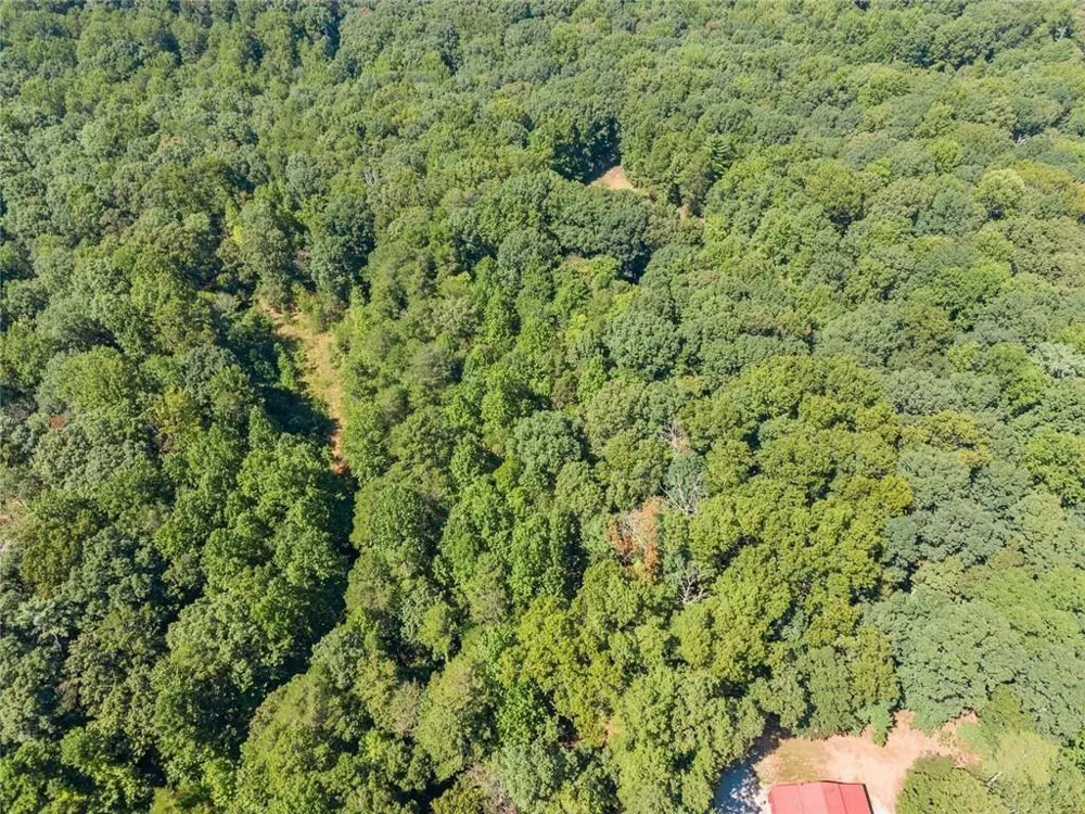 901 Peachtree Cove Demorest, GA 30535