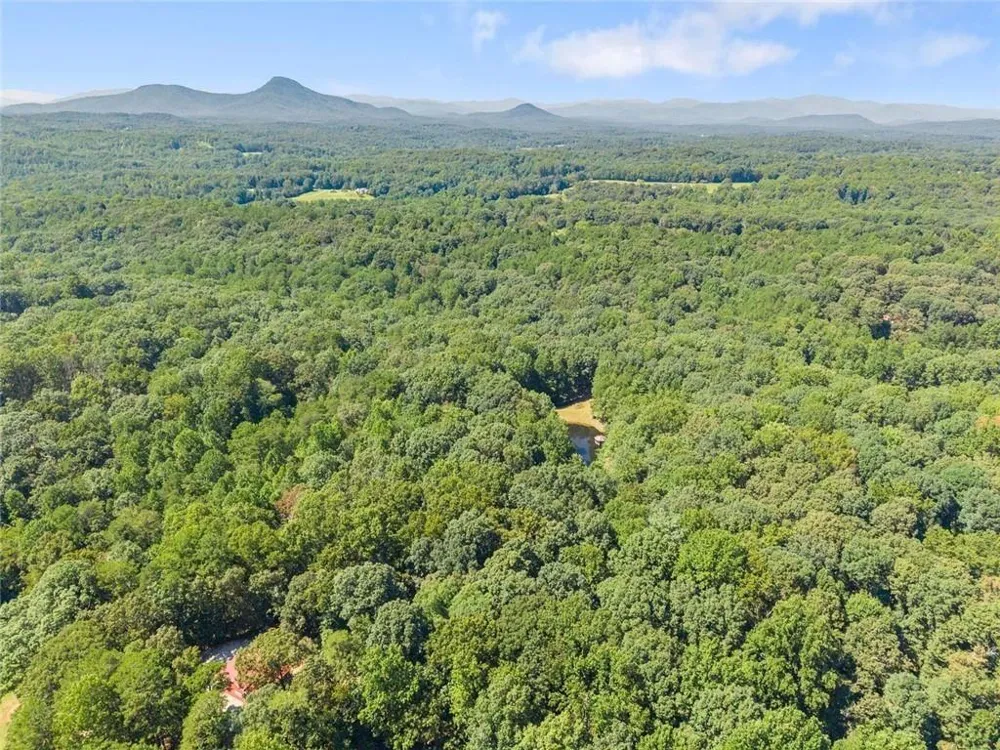 901 Peachtree Cove Demorest, GA 30535