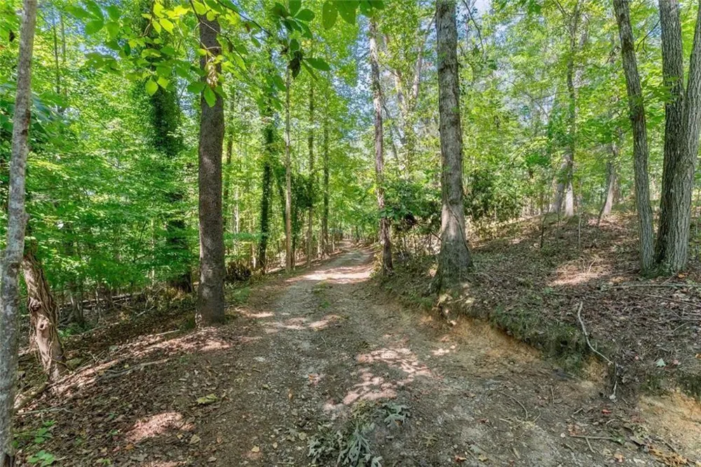 901 Peachtree Cove Demorest, GA 30535