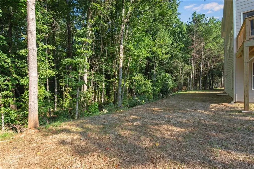 3402 Ashford Loop Ellenwood, GA 30294