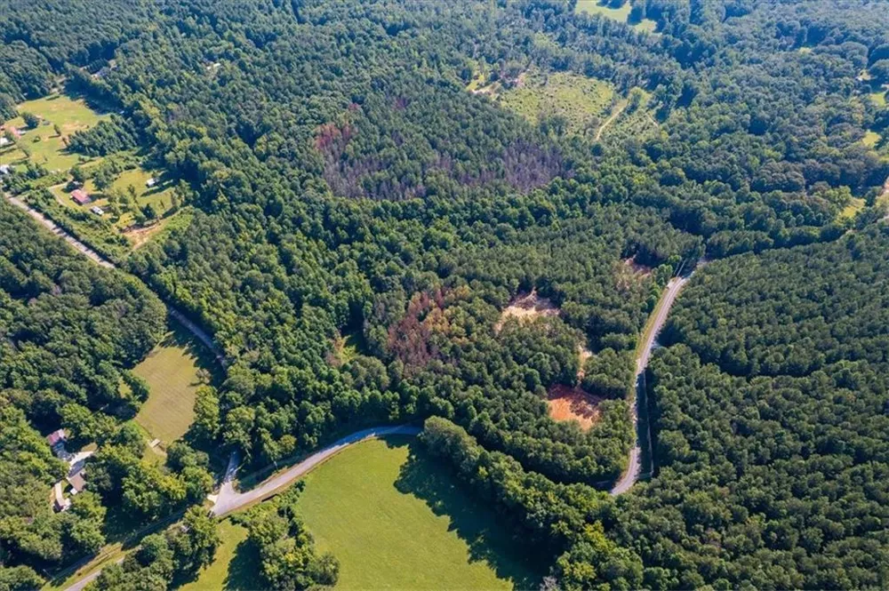 Tract2 PLEASANT HILL ROAD Rockmart, GA 30153