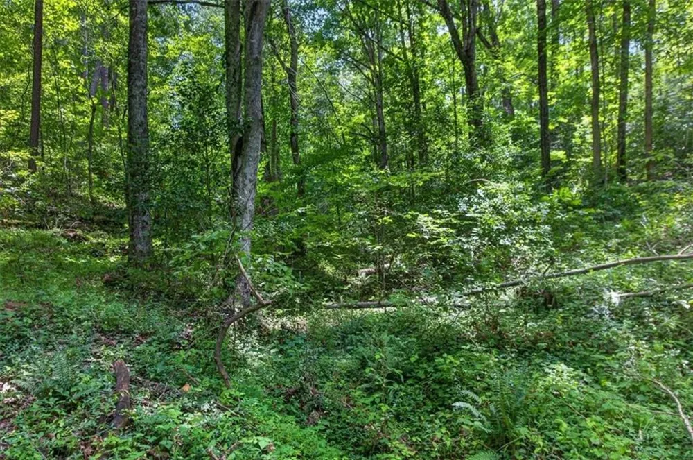 1965 Highway 52 E Ellijay, GA 30536