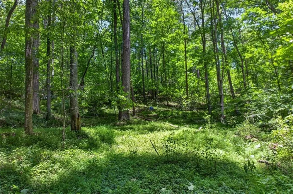 1965 Highway 52 E Ellijay, GA 30536