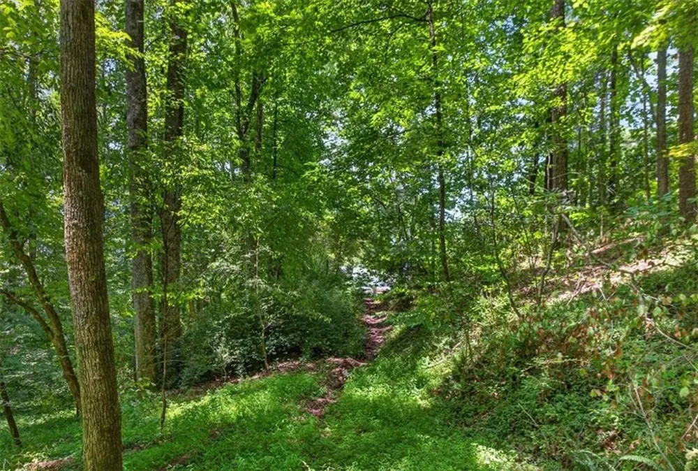 1965 Highway 52 E Ellijay, GA 30536
