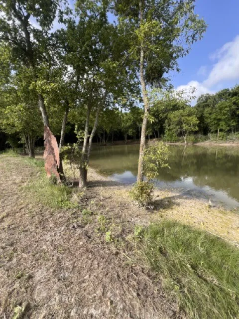 311 Mossy Point Waxahachie, TX 75167