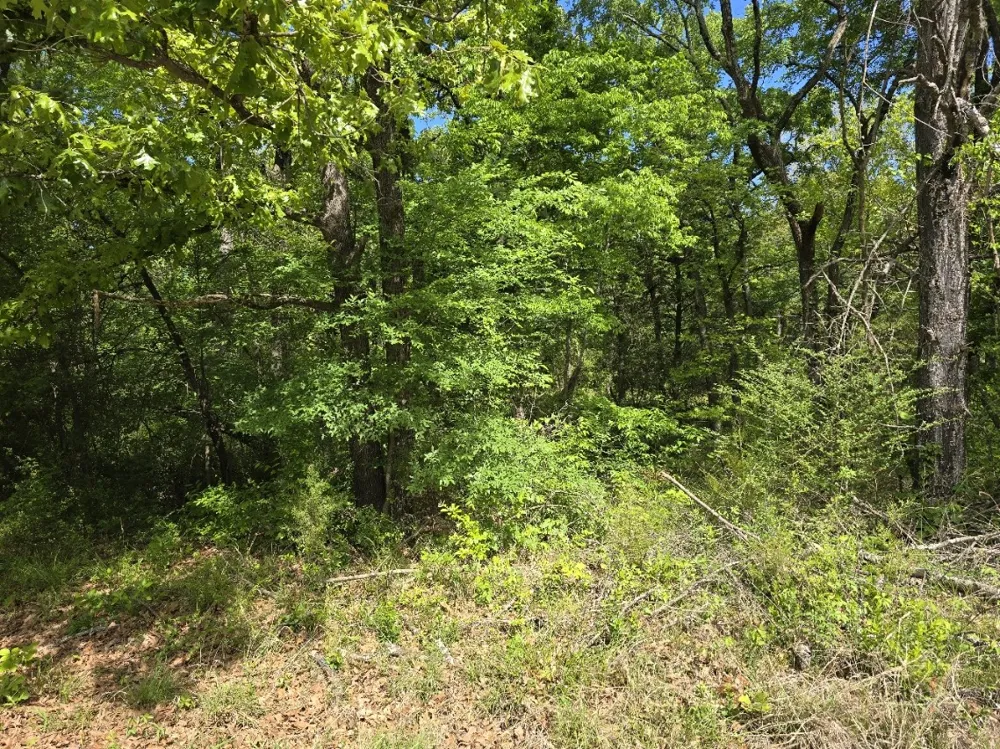 Shady Grove Road Gun Barrel City, TX 75156