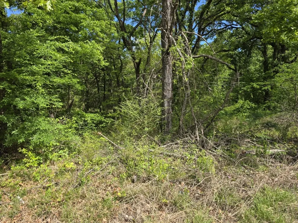 Shady Grove Road Gun Barrel City, TX 75156