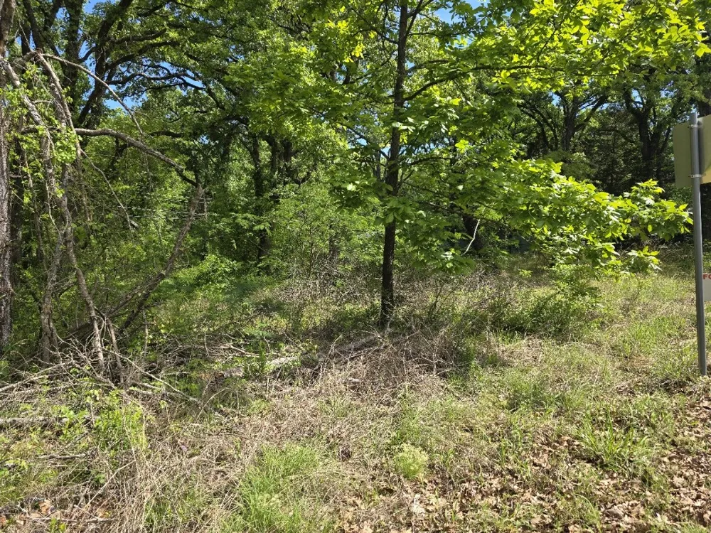 Shady Grove Road Gun Barrel City, TX 75156
