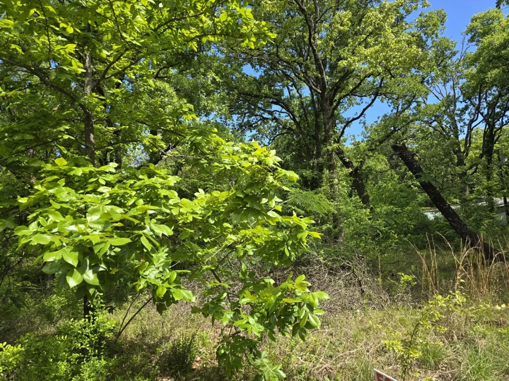 Shady Grove Road Gun Barrel City, TX 75156