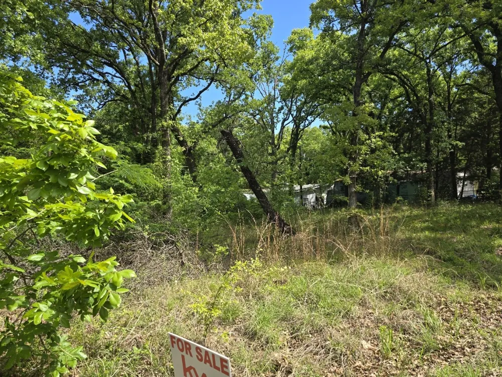 Shady Grove Road Gun Barrel City, TX 75156