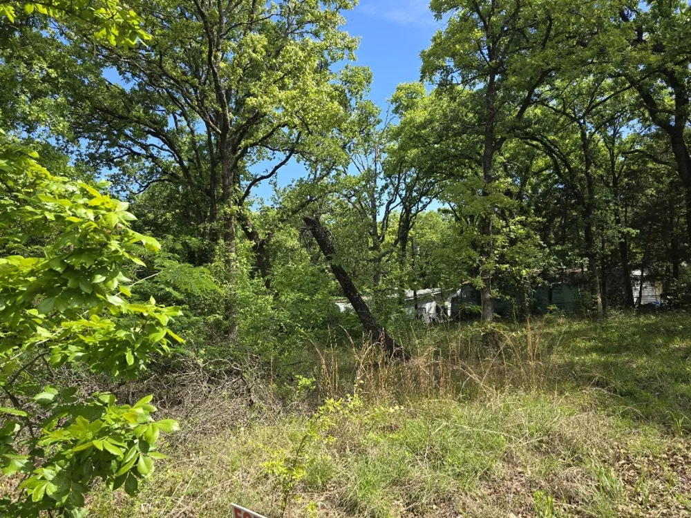 Shady Grove Road Gun Barrel City, TX 75156