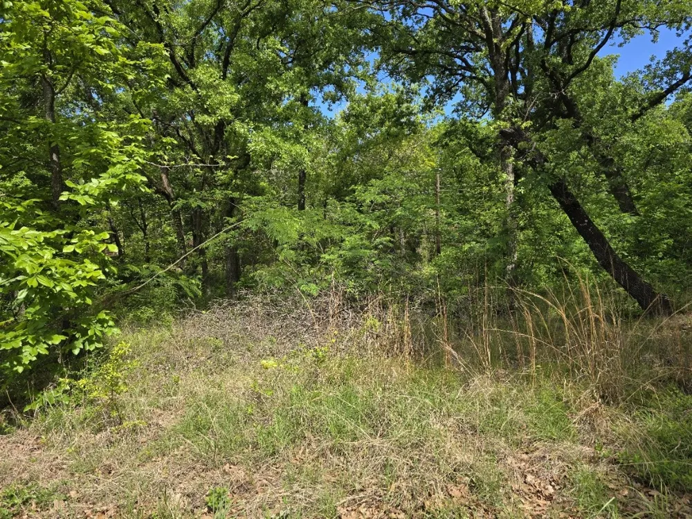 Shady Grove Road Gun Barrel City, TX 75156
