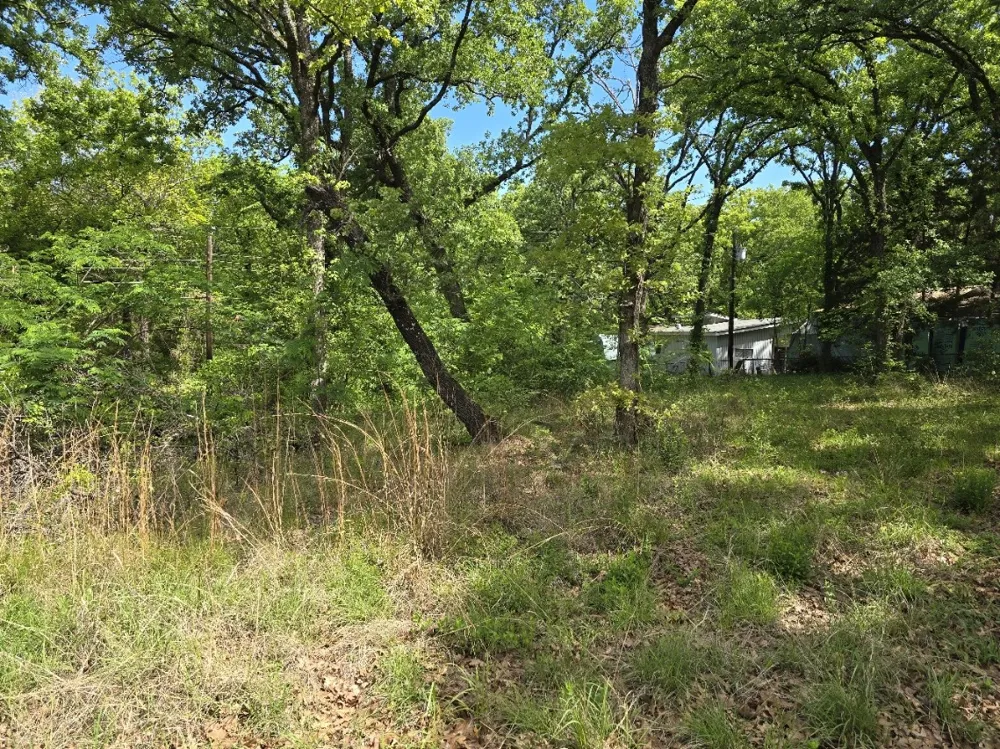 Shady Grove Road Gun Barrel City, TX 75156