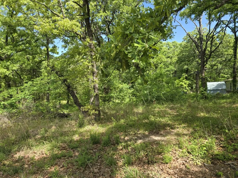Shady Grove Road Gun Barrel City, TX 75156