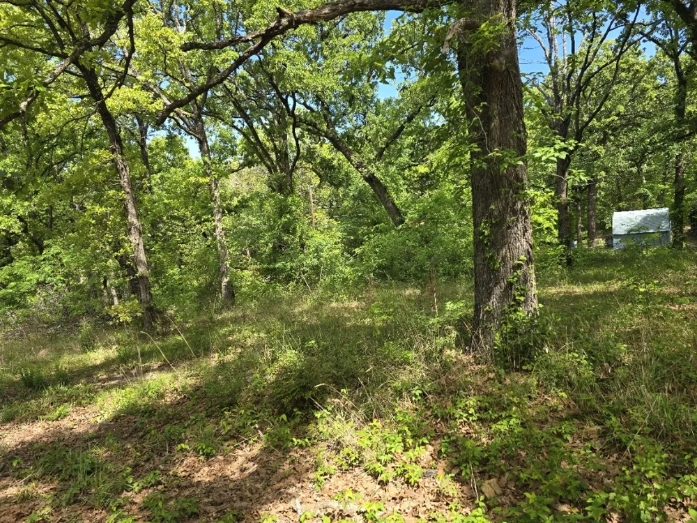 Shady Grove Road Gun Barrel City, TX 75156