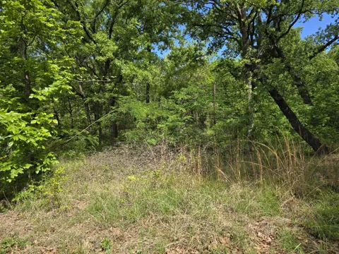 Shady Grove Road