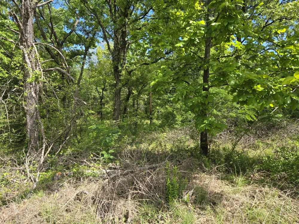 Shady Grove Road Gun Barrel City, TX 75156