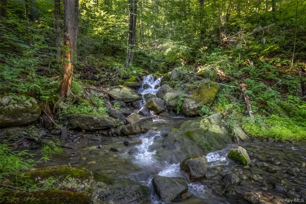 Old Plank Road Cragsmoor, NY 12420