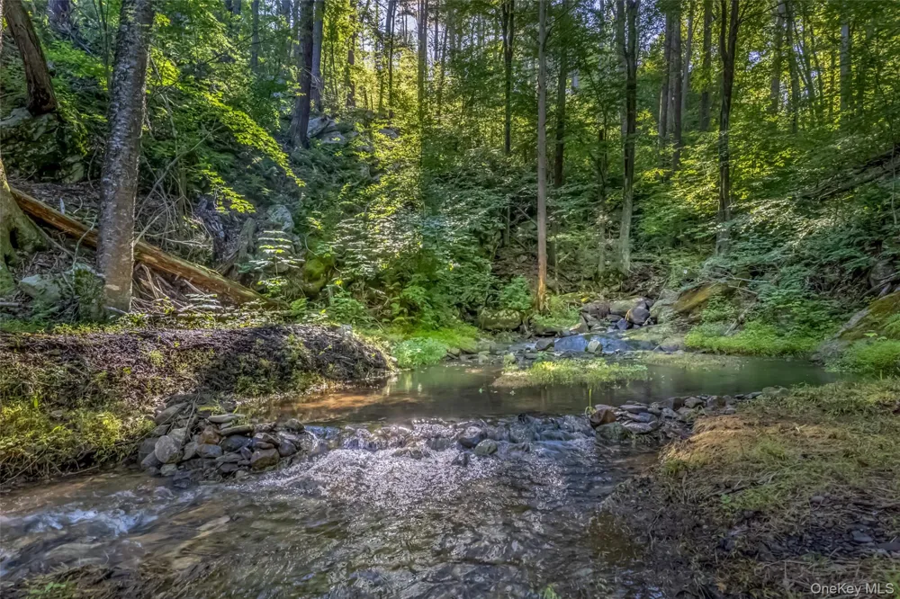 Old Plank Road Cragsmoor, NY 12420