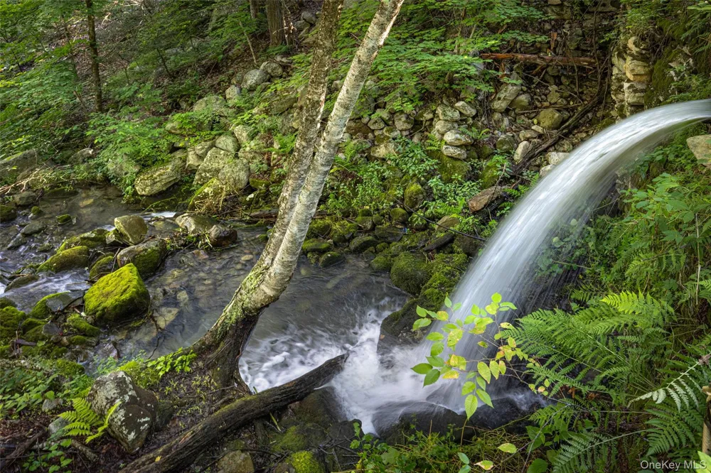 Old Plank Road Cragsmoor, NY 12420