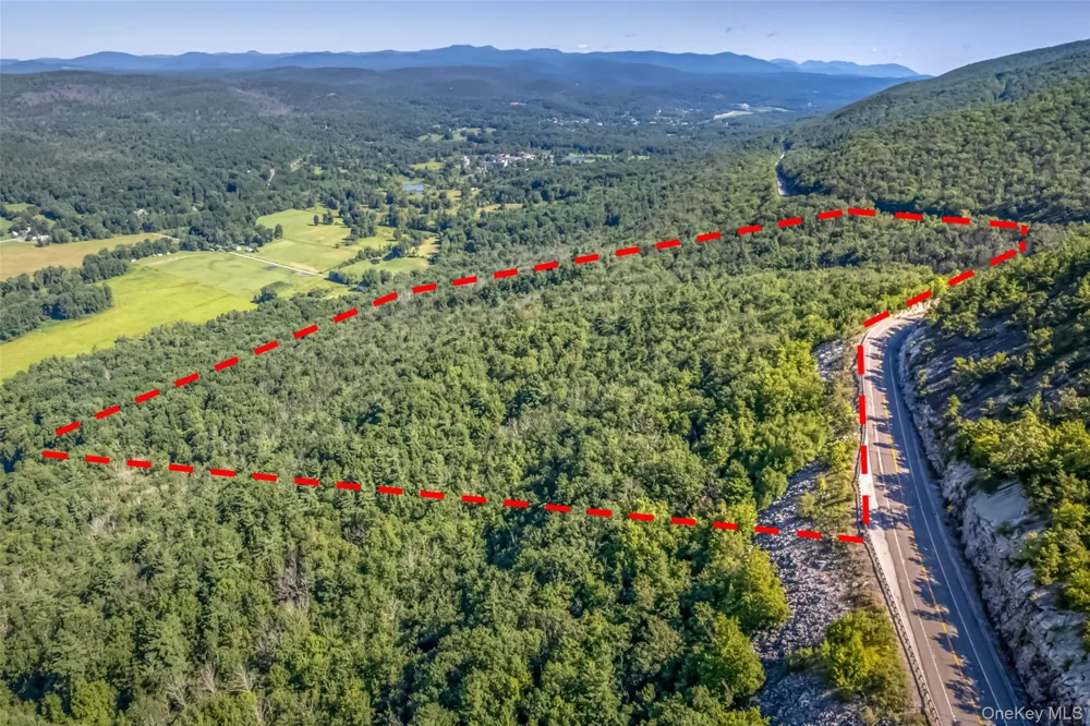 Old Plank Road Cragsmoor, NY 12420