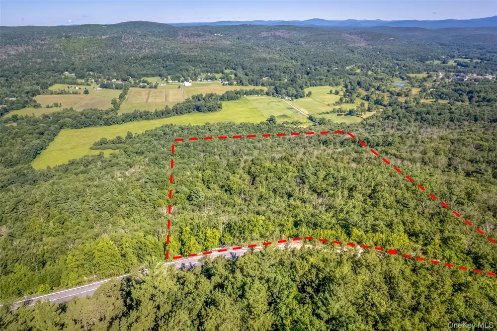Old Plank Road Cragsmoor, NY 12420