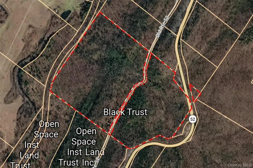 Old Plank Road Cragsmoor, NY 12420