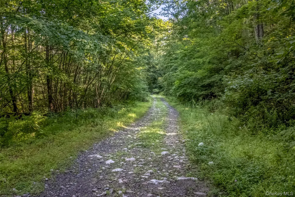 Old Plank Road Cragsmoor, NY 12420