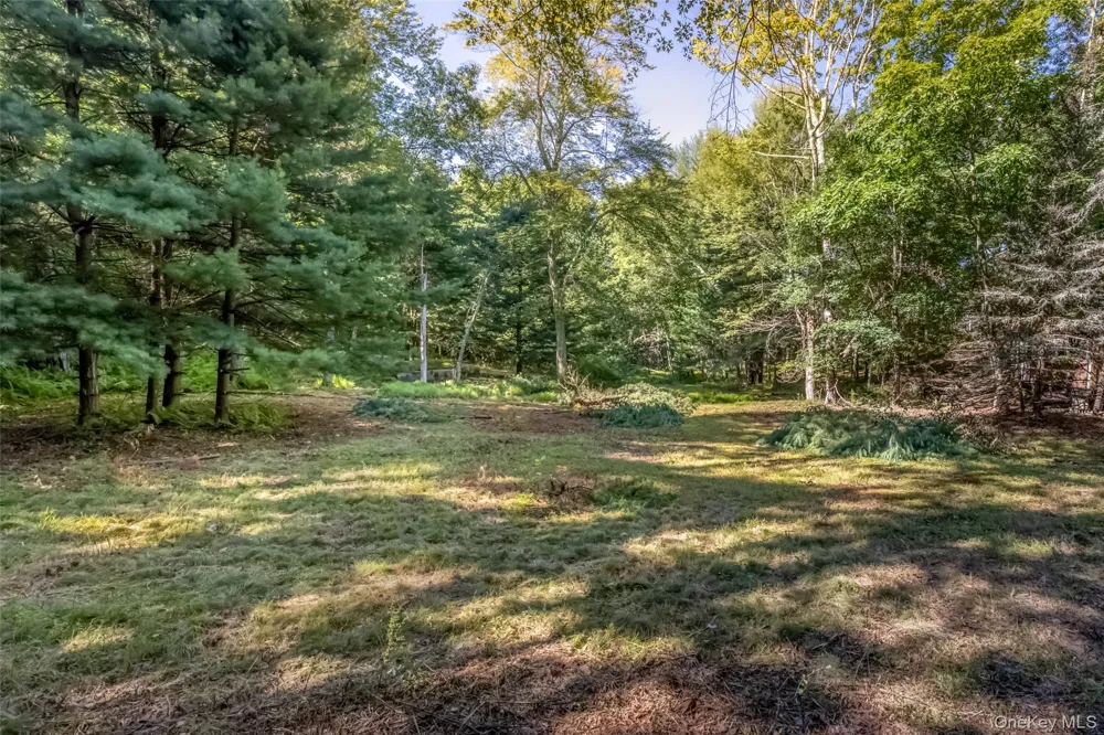 Old Plank Road Cragsmoor, NY 12420