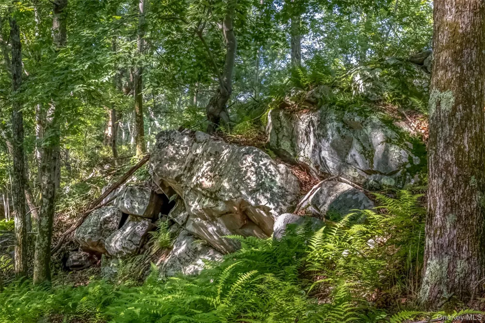 Old Plank Road Cragsmoor, NY 12420