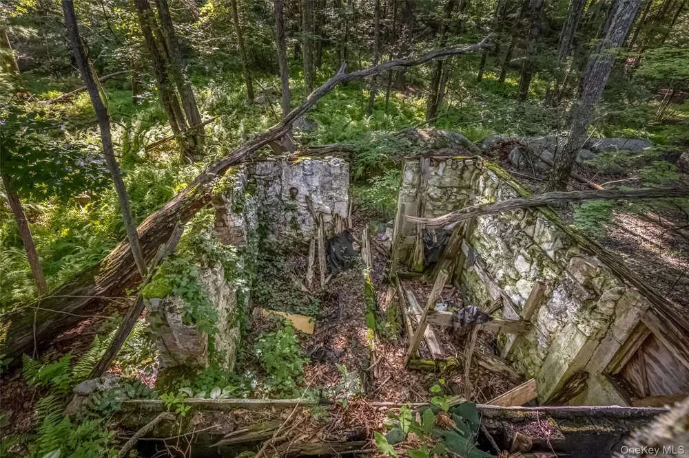 Old Plank Road Cragsmoor, NY 12420