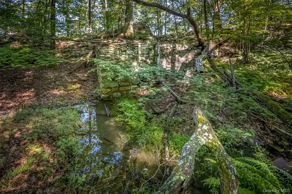 Old Plank Road Cragsmoor, NY 12420